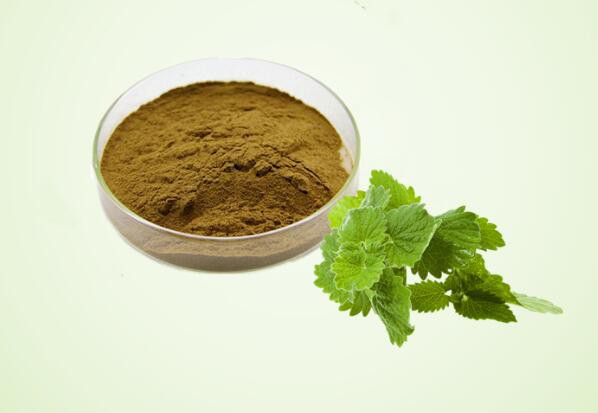 lemon balm liquid extract