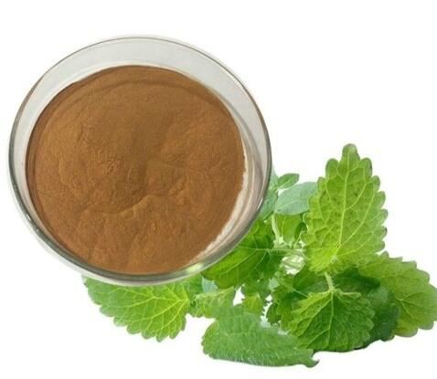 lemon balm extract buy.jpg