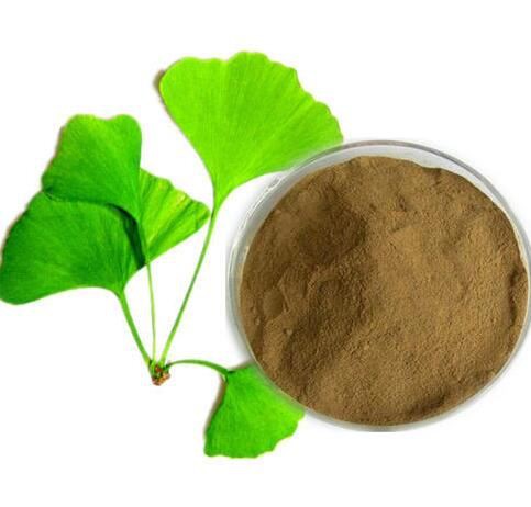 best quality ginkgo biloba extract