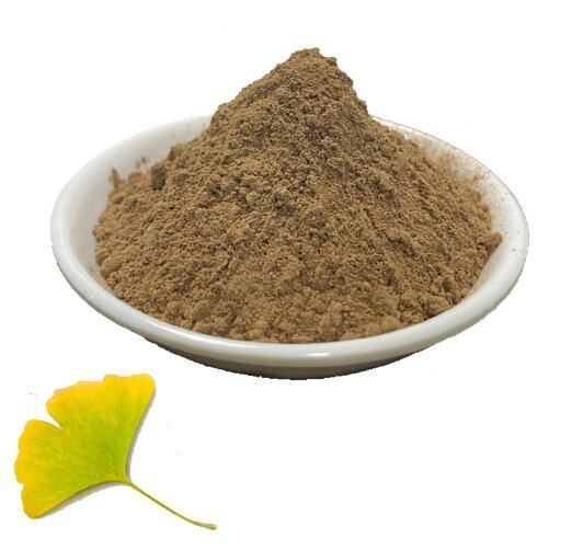 ginkgo biloba 50 1 extract.jpg