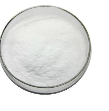 wholesale andrographolide.jpg