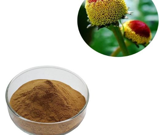 spilanthes acmella flower extract.png