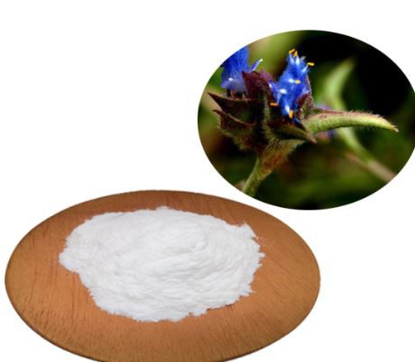 cyanotis extract