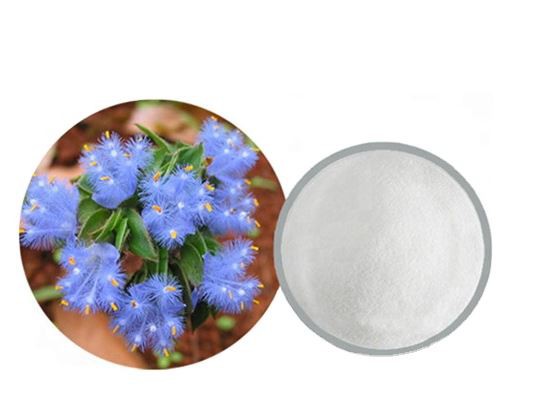 beta ecdysterone bulk powder.png