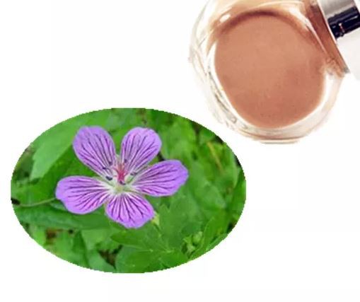 geranium root powder.png