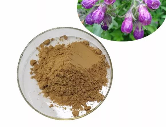 comfrey root extract.png