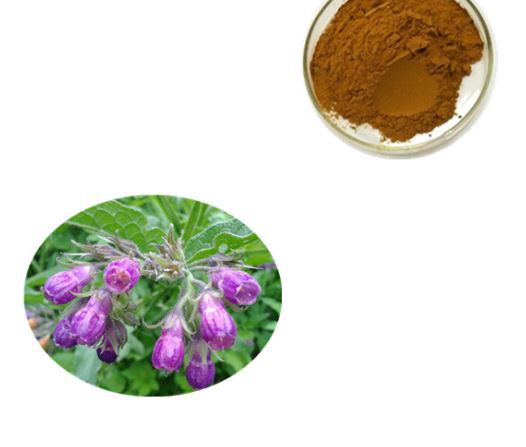 fermented comfrey extract.png