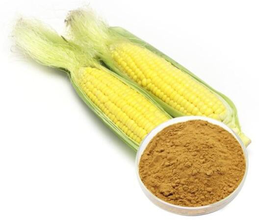 zea mays extract.jpg