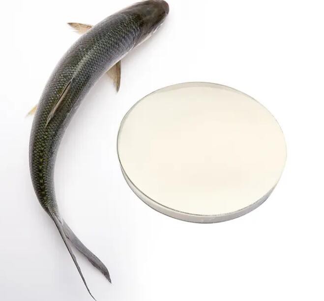 fish based collagen peptides.jpg