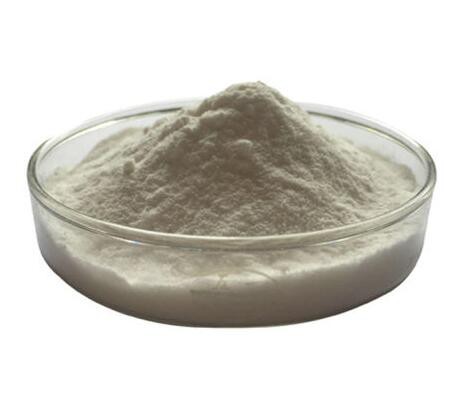 best fish collagen peptide.jpg