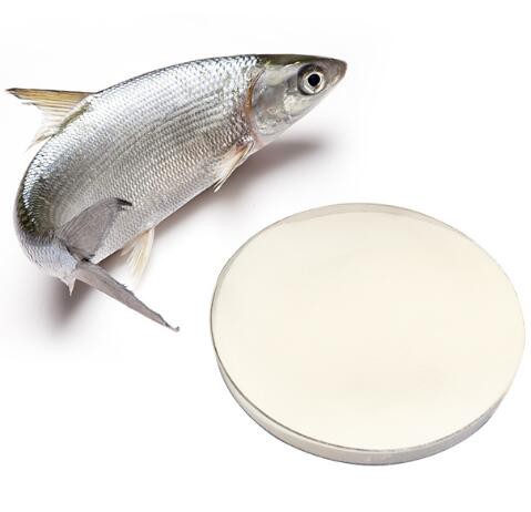 collagen fish peptide.jpg