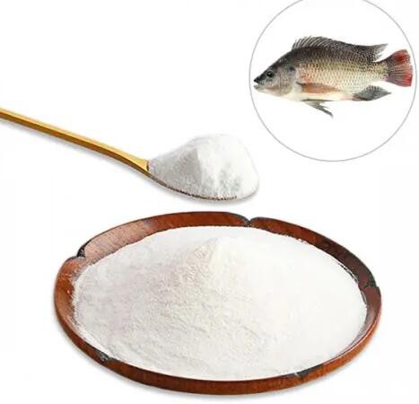 collagen fish collagen peptides.jpg