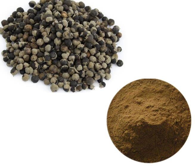 chasteberry fruit extract vitex agnus castus.jpg