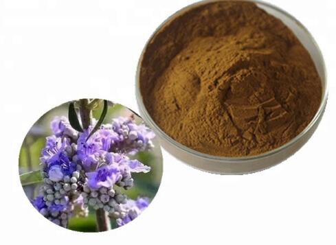 chasteberry extract powder