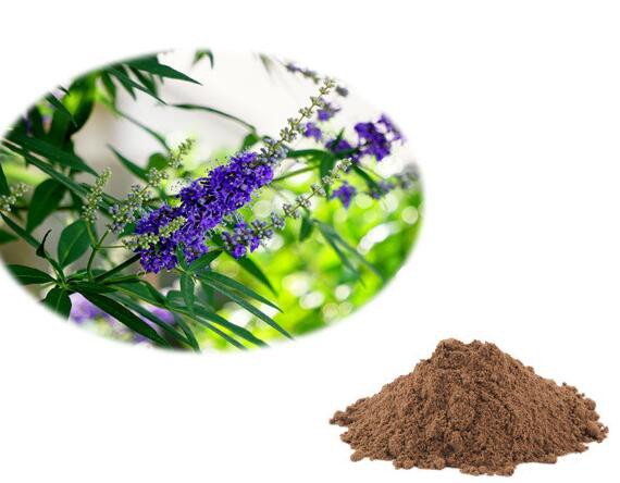 vitex agnus castus fruit extract.jpg