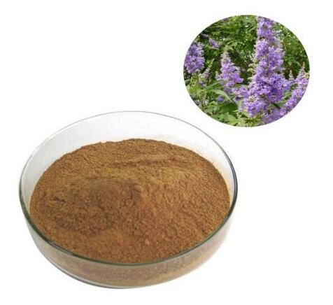 vitex chaste tree berry extract