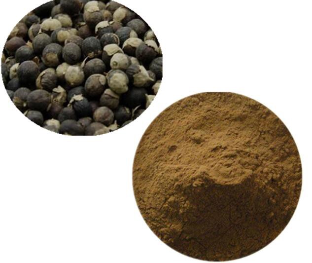 vitex standardized extract.jpg