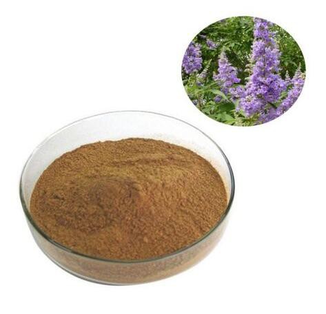 vitex extract chaste tree berry.jpg