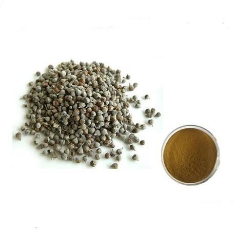 Vitex Berry Powder.jpg