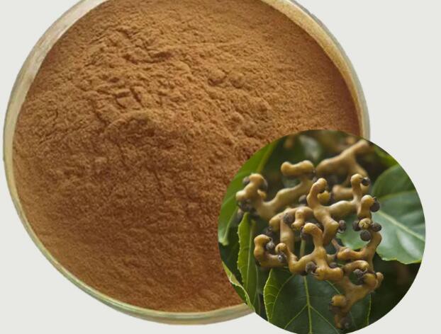 Best Hovenia Dulcis Extract Powder