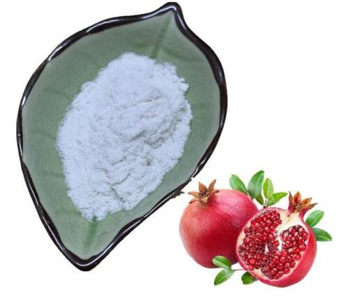 buy ellagic acid