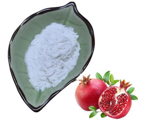 ellagic acid manufacturer.jpg