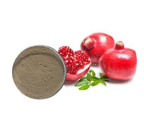 best ellagic acid from pomegranate fruit extract