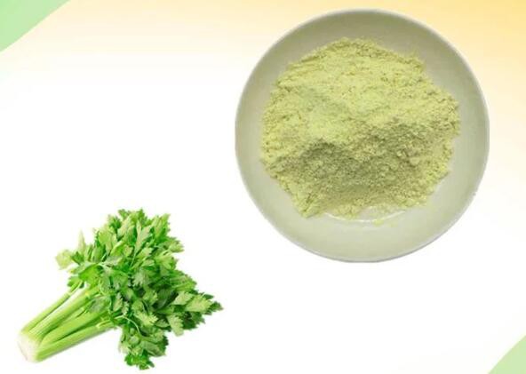 apigenin celery.jpg