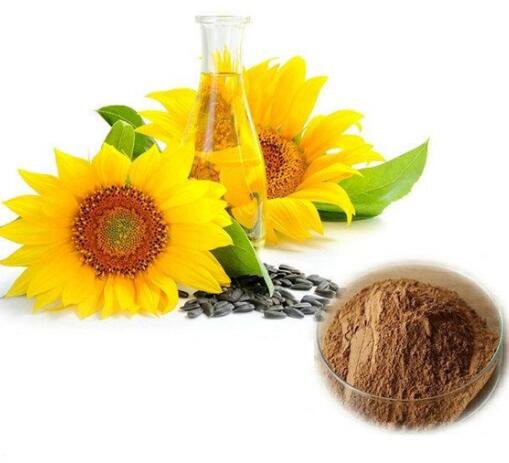 sunflower extract