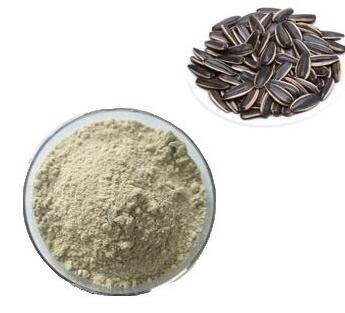 sunflower lecithin protein powder