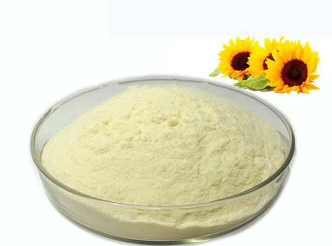 sunflower lecithin powder bulk.jpg