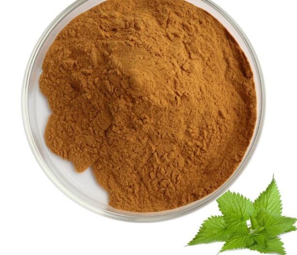 sting nettle root extract