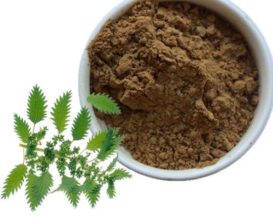 best stinging nettle root extract