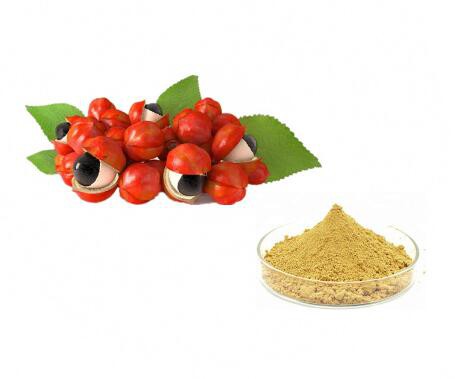 guarana extract powder.jpg