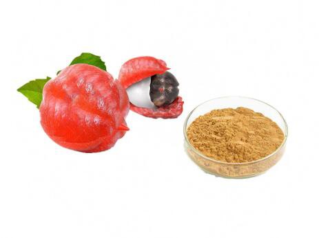 buy guarana extract powder