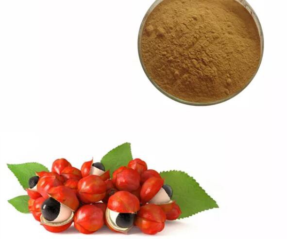 guarana extracts.jpg