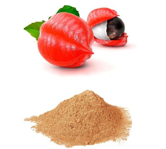 buy guarana powder