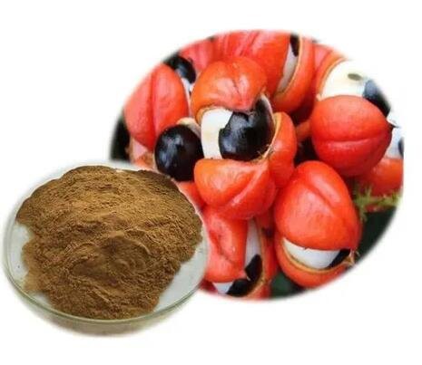 buy guarana extract powder.jpg