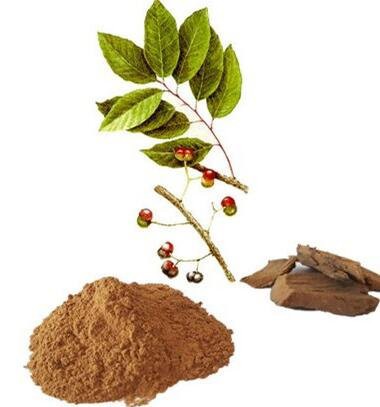 pygeum africanum extract powder