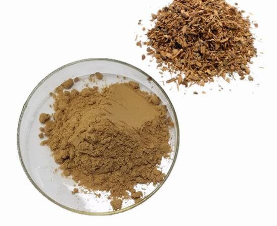 pygeum africanum powder