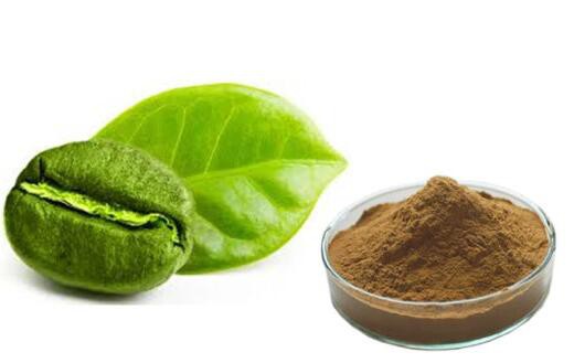 green coffee bean extract 45 chlorogenic acid.jpg