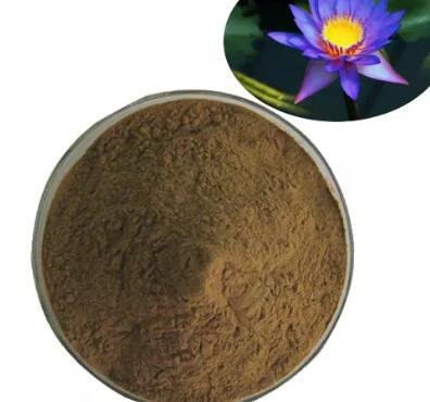 blue lotus extract 200x