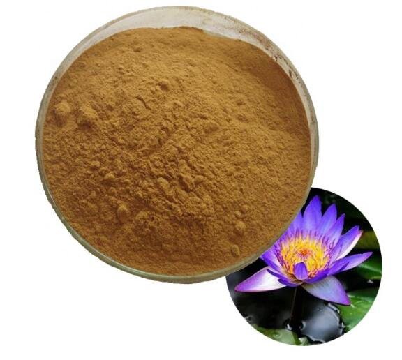 blue lotus flower powder