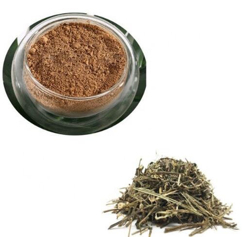 scutellaria extract