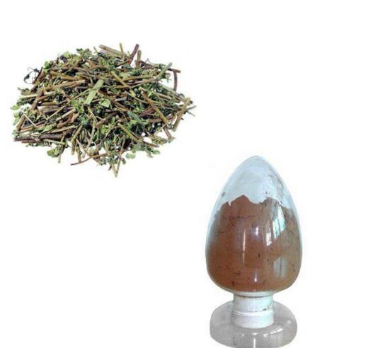 scutellaria lateriflora extract