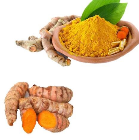 turmeric extract 95 curcumin