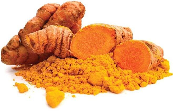 curcumin absorb