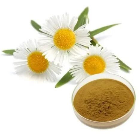 anthemis nobilis chamomile flower extract