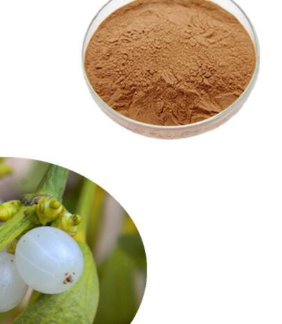 viscum album leaf extract