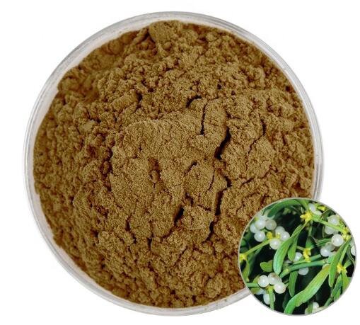 viscum album mistletoe leaf extract